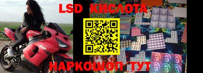 прущие крисы Бийск