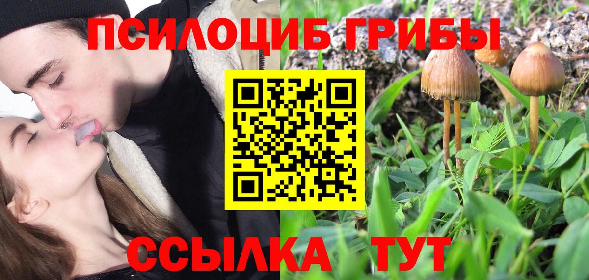 Галлюциногенные грибы Magic Shrooms Каспийск