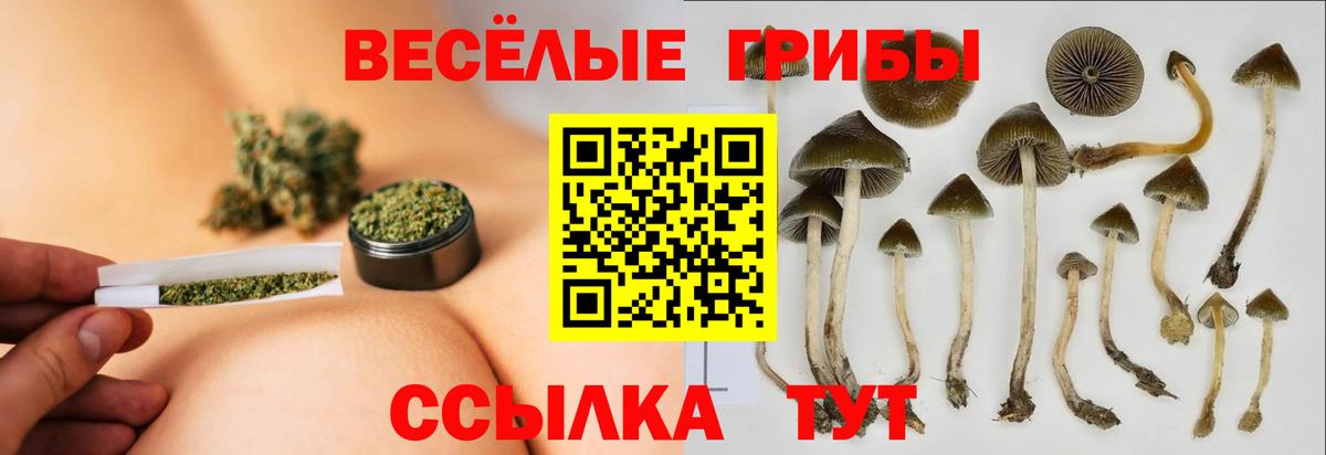 Каспийск  дарнет шоп  Вход с VPN  Псилоцибиновые грибы ЛСД 